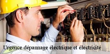 Urgence dépannage électrique et électricité  beaune-la-rolande-45340 Artisan Douaire 45