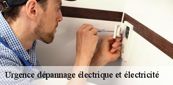 Urgence dépannage électrique et électricité  beaune-la-rolande-45340 Artisan Douaire 45