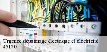 Urgence dépannage électrique et électricité  chilleurs-aux-bois-45170 Artisan Douaire 45