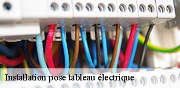 Installation pose tableau électrique  thignonville-45300 Artisan Douaire 45