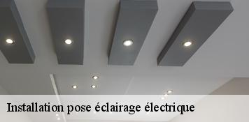 Installation pose éclairage électrique  ingre-45140 Artisan Douaire 45